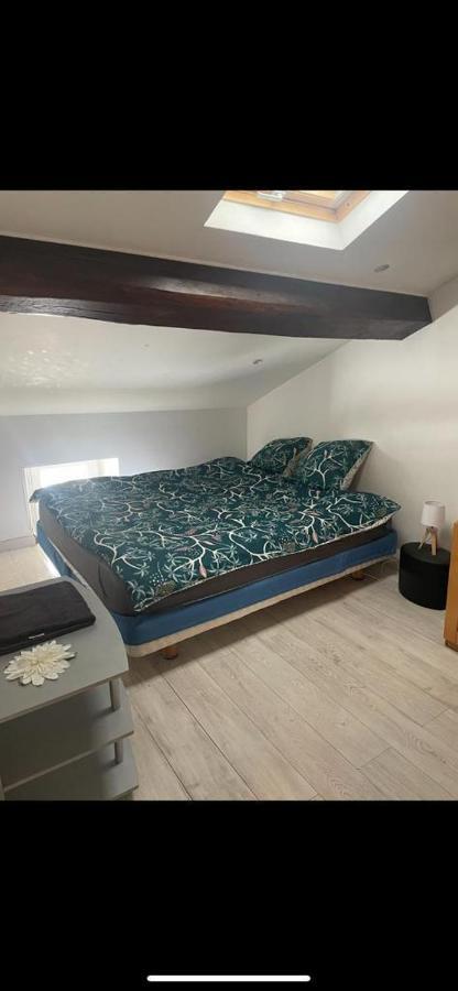 Aparthotel Saint-Chamond Zewnętrze zdjęcie